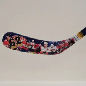 Brandon Montour Full Size